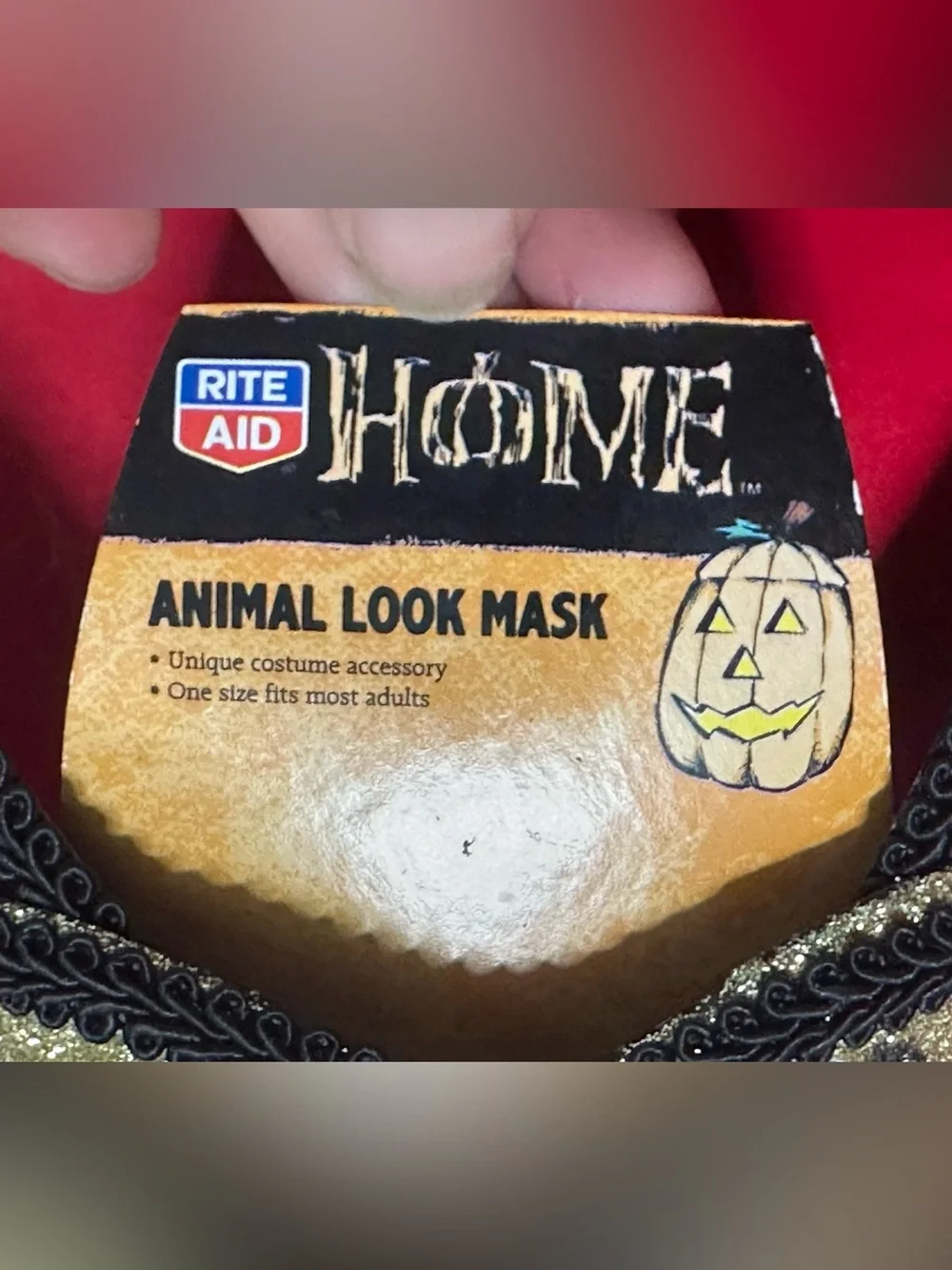 Source Unknown masquerade cat